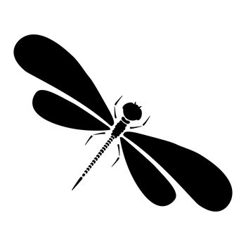 Dragonfly silhouette. Cartoon graphic illustration of damselfly isolated with black and white wings. Sketch insect