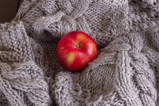 Red apple in a knitted gray sweater