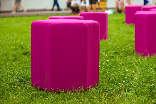 raspberry soft stools on the green grass