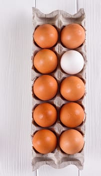 Container of ten eggs. Nine eggs brown one egg white. on white background.