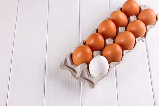 Container of ten eggs. Nine eggs brown one egg white. on white background.