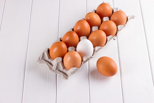Container of ten eggs. Nine eggs brown one egg white. on white background.