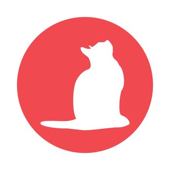  cat logo. Light white silhouette isolated from background. Cat pet in line art.