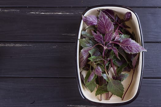 Sweet basil in white ceramic mortar on a dark stone background