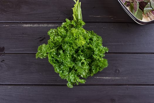 Fresh basil greens, parsley on a black background. Dark rustic style.