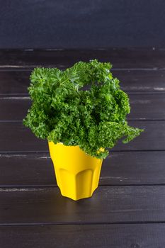 Fresh parsley with water drops in a jar on a wooden table.