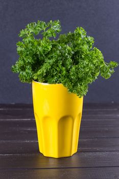 Fresh parsley with water drops in a jar on a wooden table.
