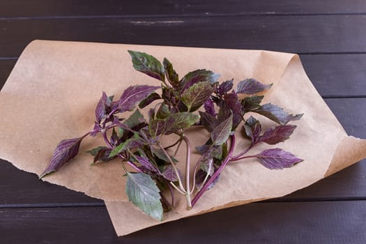 Bunch of basil on parchment paper black wooden background