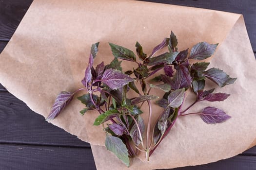 Bunch of basil on parchment paper black wooden background