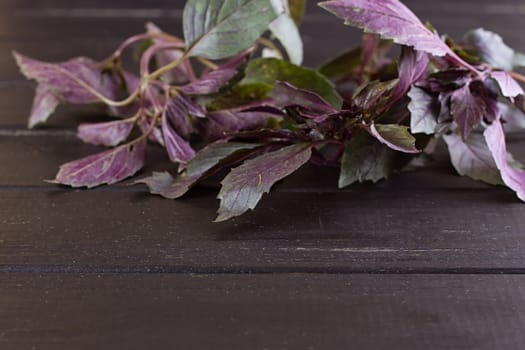 Bunch of basil on a black wooden background