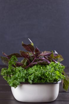 A bunch of fresh parsley in a ceramic tray on a black background. Fresh greens for salad