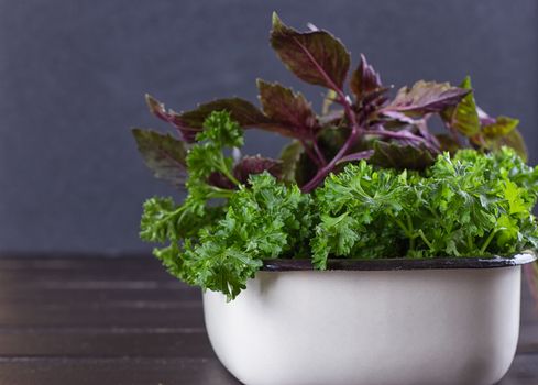 A bunch of fresh parsley in a ceramic tray on a black background. Fresh greens for salad