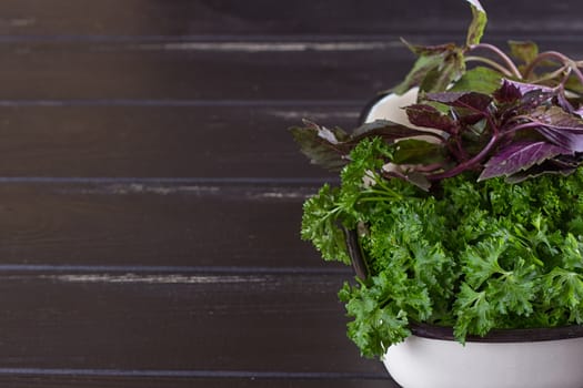 A bunch of fresh parsley in a ceramic tray on a black background. Fresh greens for salad