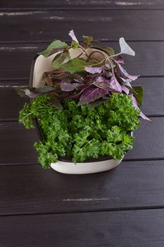 A bunch of fresh parsley in a ceramic tray on a black background. Fresh greens for salad