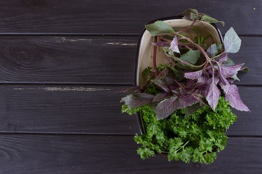 A bunch of fresh parsley in a ceramic tray on a black background. Fresh greens for salad