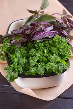 A bunch of fresh parsley in a ceramic tray on a black background. Fresh greens for salad