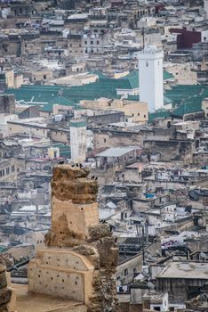 View of the old town of Fez, Morocco, North Africa