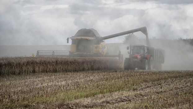 A combine harvester cutting wheat and dispensing it into a tractor and trailer with dust