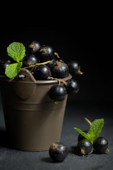 Black currant with mint  leaf isolated