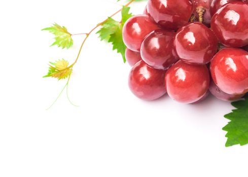 Closeup ripe red grape with leaf on white background, fruit healthy concept