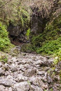 Ravine Cracow - Tatra National Park, Poland.