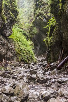 Ravine Cracow - Tatra National Park, Poland.