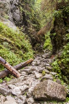 Ravine Cracow - Tatra National Park, Poland.