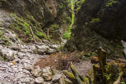 Ravine Cracow - Tatra National Park, Poland.