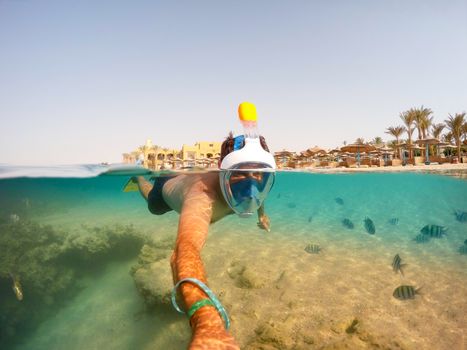 Snorkel swim in underwater exotic tropics paradise with fish and coral reef, beautiful view of tropical sea. Marsa alam, Egypt. Summer holiday vacation concept