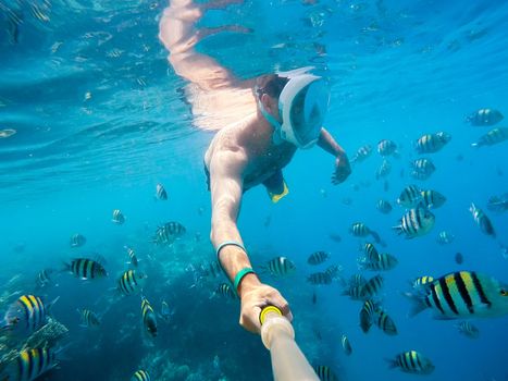 Snorkel swim in underwater exotic tropics paradise with fish and coral reef, beautiful view of tropical sea. Marsa alam, Egypt. Summer holiday vacation concept