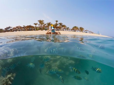 Underwater surface split view in the tropics paradise with fish and coral reef, above waterline view of woman with snorkel mask and paradise beach with parasols. Egypt Marsa Alam vacation concept