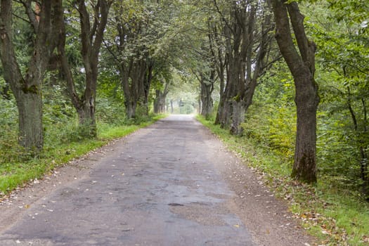 Polish country route