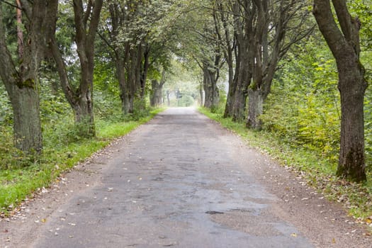 Polish country route