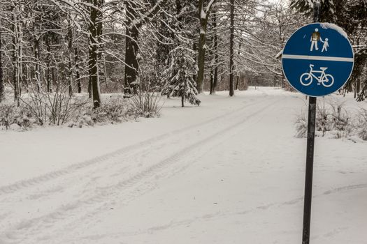 Park in Swierklaniec (Poland) - winter landscape.