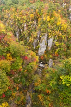 Naruko canyon in autumn season
