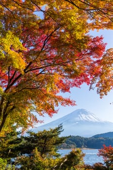 Mount Fuji which is viewed from lake Kawaguchi in autumn