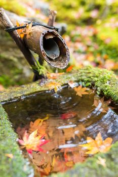 Water bamboo fountain in autumn season