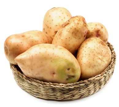 Big Raw New Harvest Golden Potato in Wicker Bowl isolated on White background