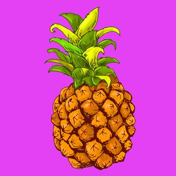 pineapple drawn in color with white background