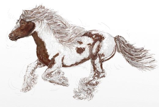 Galloping horse with thick mane