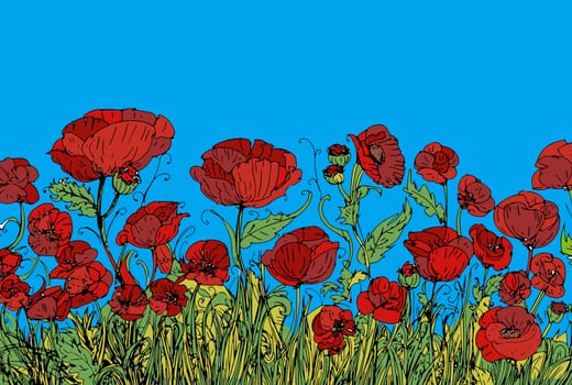 Field of red poppies