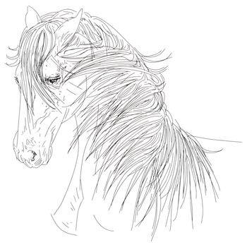 animal,
cartoon,
free,
horse,
illustration,
mane,
tract,
white,
wild,
cream background,
screen printing,