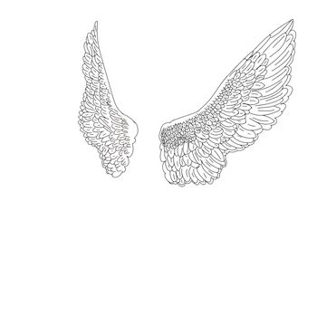 Angel wings illustration ink for logho or insertions line art china art sergrafia