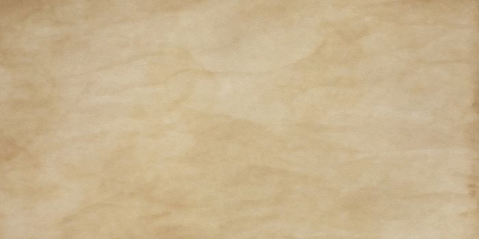 Neutral base effect canvas for artistic bases, for banner, cream cologne