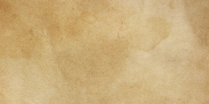 Neutral base effect canvas for artistic bases, for banner, cream cologne