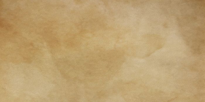 Neutral base effect canvas for artistic bases, for banner, cream cologne