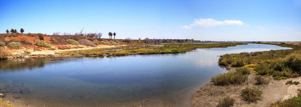 Peaceful and tranquil marsh of Bolsa Chica wetlands in Huntington Beach, California, USA
