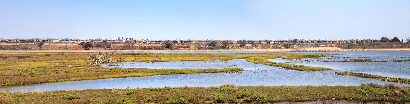 Peaceful and tranquil marsh of Bolsa Chica wetlands in Huntington Beach, California, USA