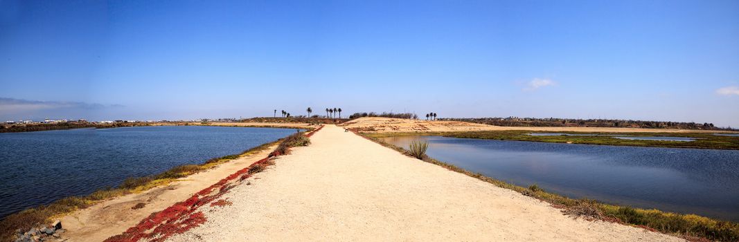 Path along the peaceful and tranquil marsh of Bolsa Chica wetlands in Huntington Beach, California, USA