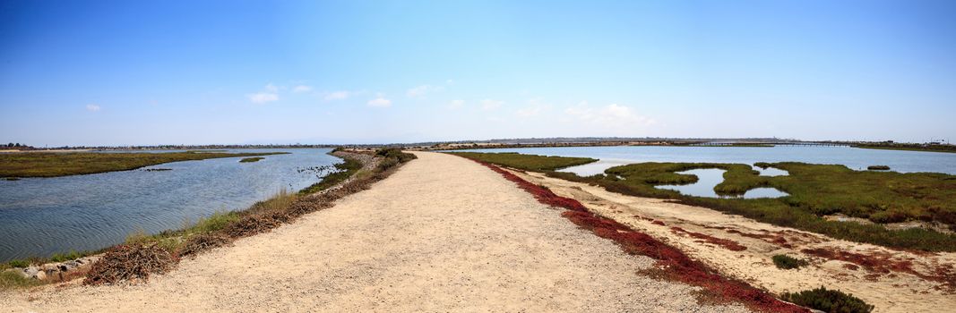 Path along the peaceful and tranquil marsh of Bolsa Chica wetlands in Huntington Beach, California, USA